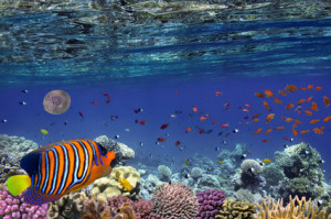 Hoher Stromverbrauch bei Aquarium